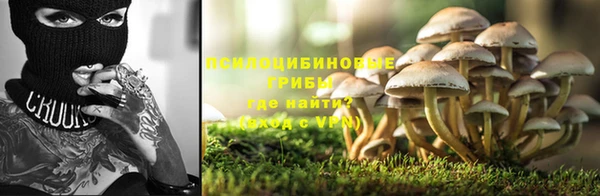 МДПВ Арсеньев
