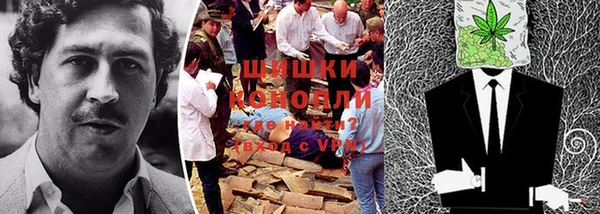 шишки Армянск