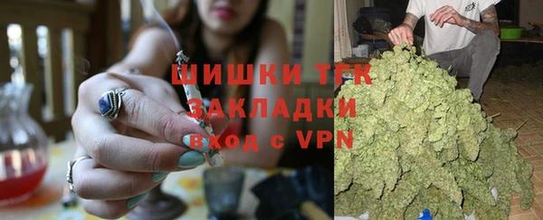 шишки Армянск