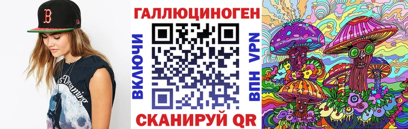 Галлюциногенные грибы Psilocybine cubensis Липки